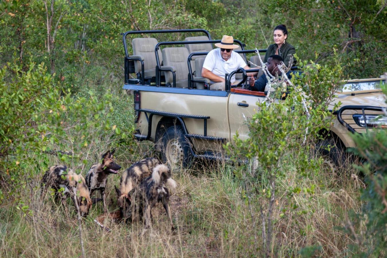 Leopard Hills Private Game Reserve Sabi Sand Zewnętrze zdjęcie