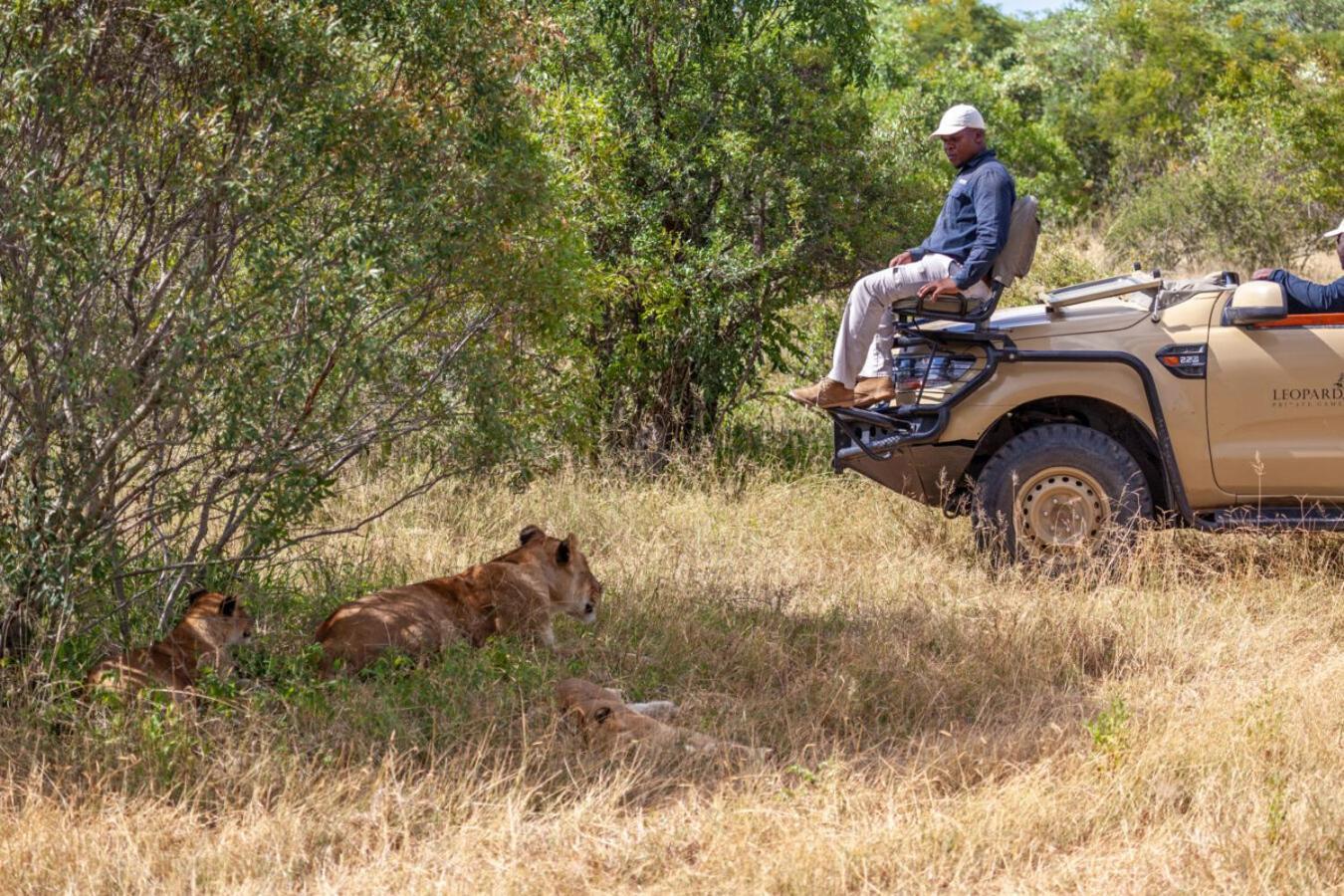 Leopard Hills Private Game Reserve Sabi Sand Zewnętrze zdjęcie