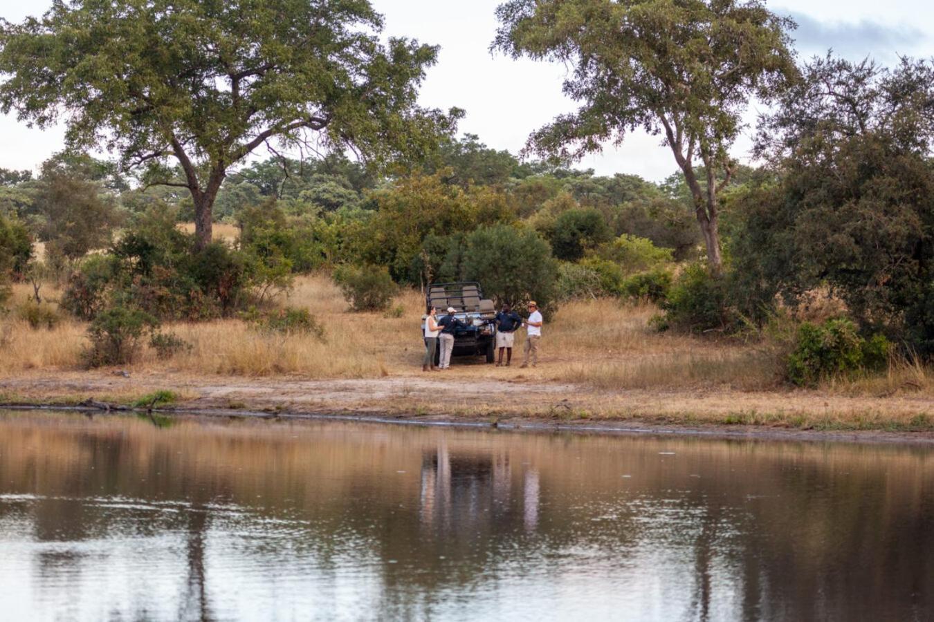 Leopard Hills Private Game Reserve Sabi Sand Zewnętrze zdjęcie