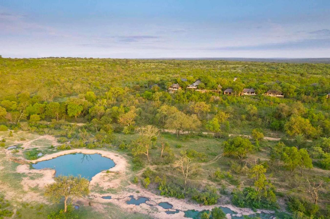 Leopard Hills Private Game Reserve Sabi Sand Zewnętrze zdjęcie
