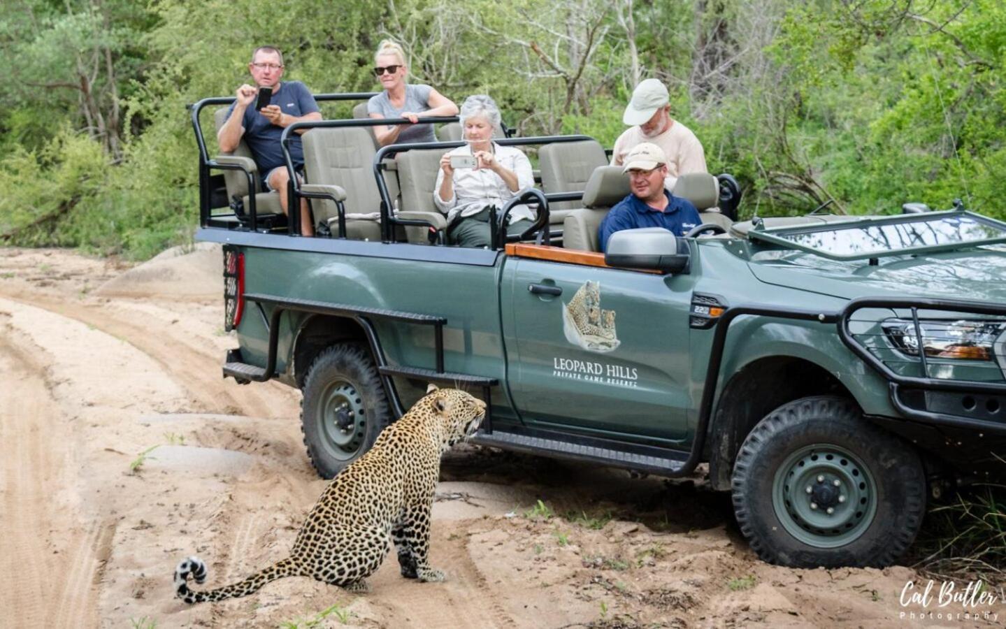 Leopard Hills Private Game Reserve Sabi Sand Zewnętrze zdjęcie